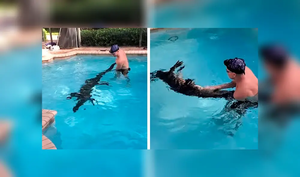 El sujetó luchó contra el enorme reptil para cansarlo y cargarlo como un bebé. Foto: captura El sujetó luchó contra el enorme reptil para cansarlo y cargarlo como un bebé. Foto: captura