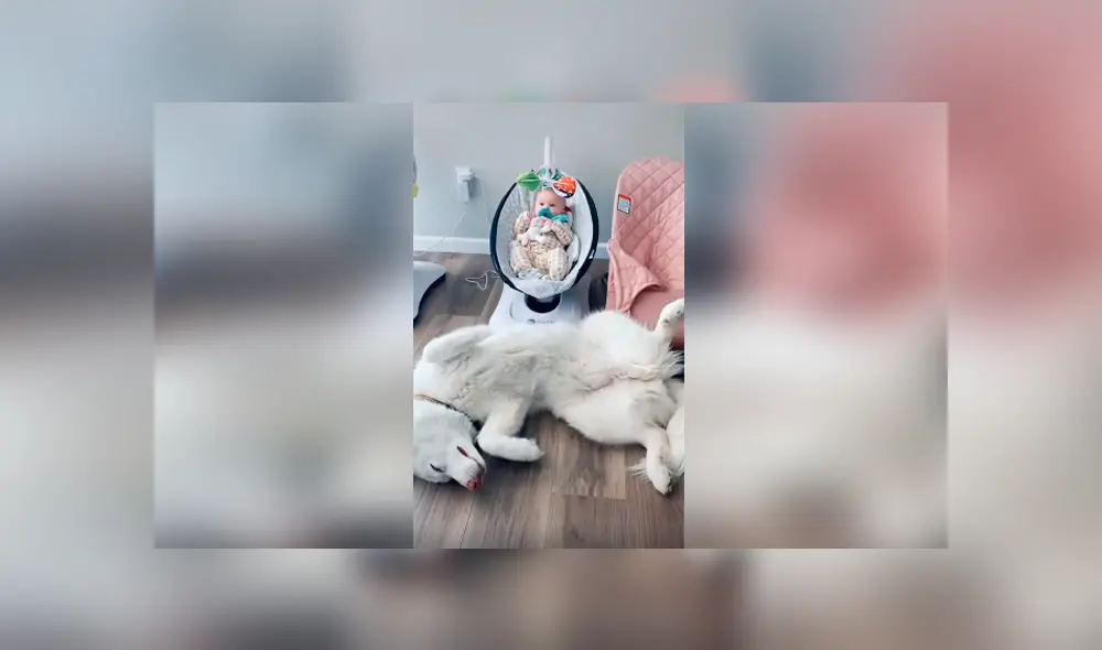 Desliza las imágenes hacia la izquierda para apreciar la divertida escena que protagonizó un perro junto a un bebé.