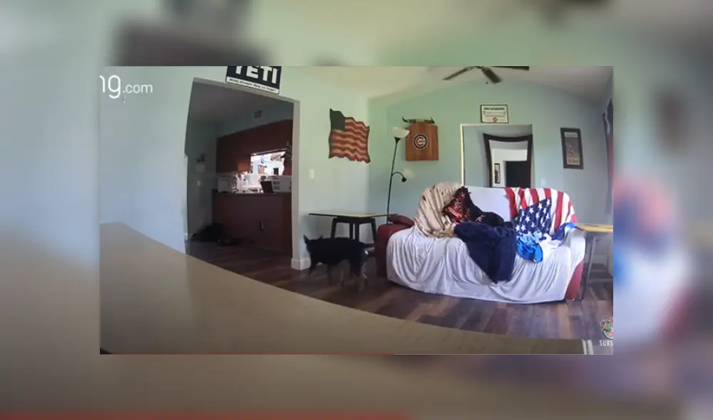 Desliza hacia la izquierda para ver las imágenes del viral de YouTube. Foto: Captura.