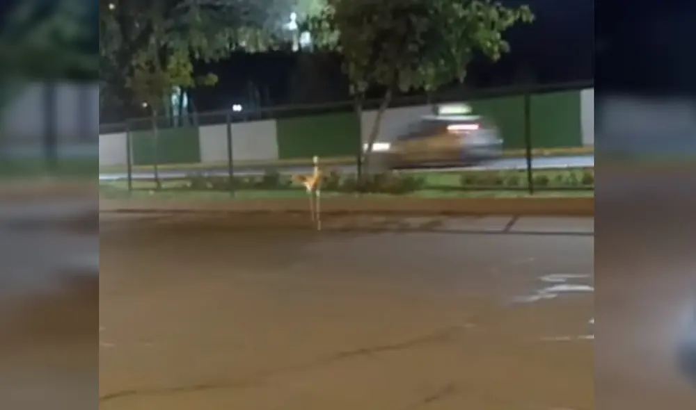 Captan a parihuana en el Cercado de Arequipa y luego aparece muerta.