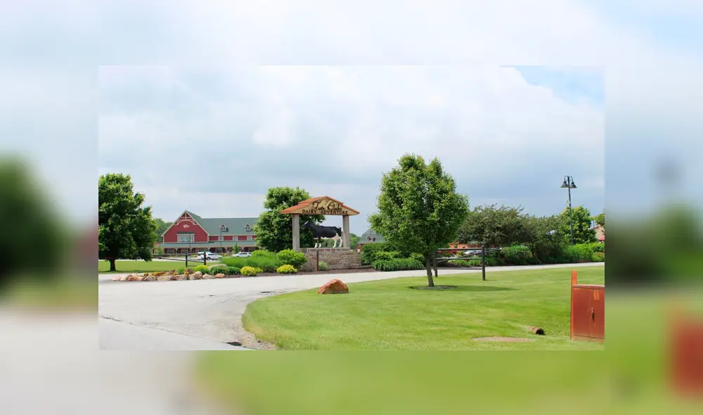 Lo captan maltratando animales y es sentenciado a libertad condicional [VIDEO] 