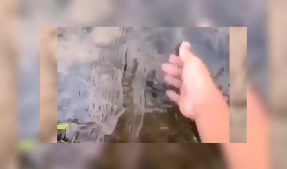 Facebook viral: Poblador encuentra pez 'moribundo' en la tierra, lo agarra y sucede lo impensado [VIDEO]