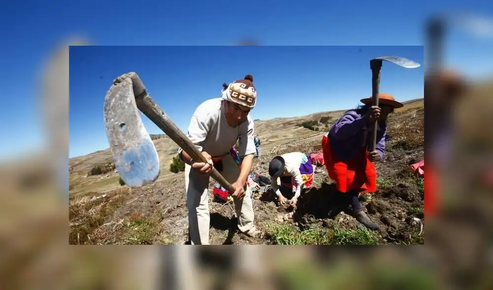Presupuesto del sector agropecuario crecerá 35% en el 2019