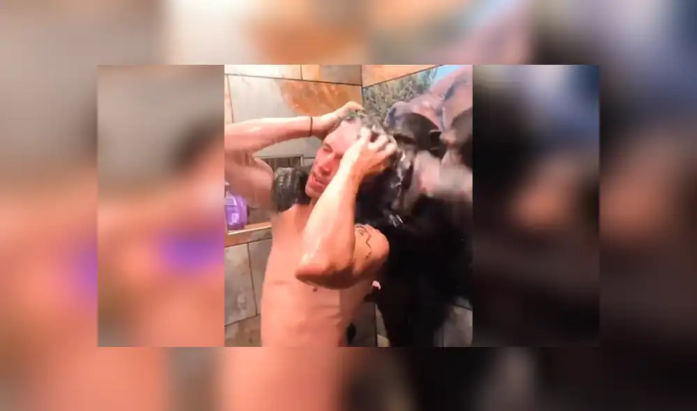 Facebook viral: monos bañan a hombre en la ducha y miles enternecen al verlos [VIDEO] 