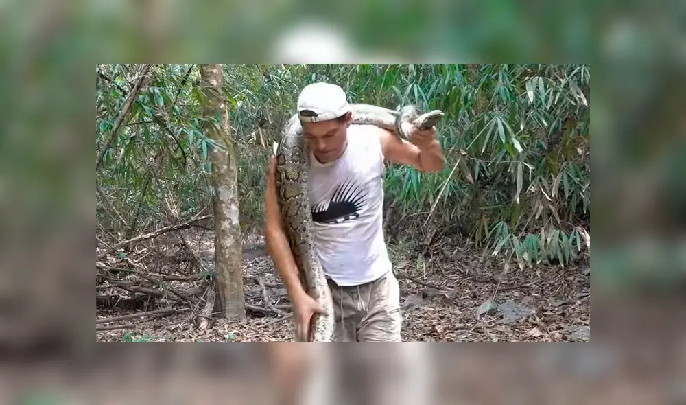 Desliza hacia la izquierda para ver la terrorífica escena en que la serpiente enrosca el cuello de un excursionista en Tailandia. El video es viral en YouTube.