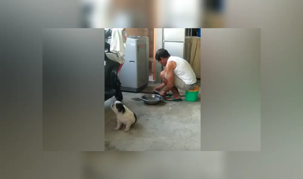 Desliza hacia la izquierda para ver la escena que causó furor en Facebook.