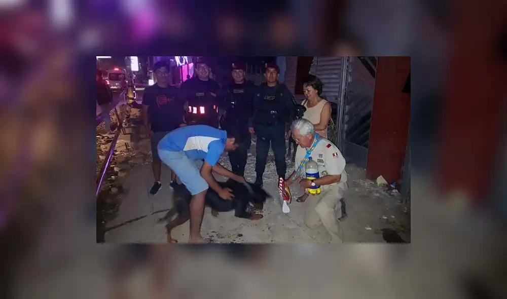 Rescatan mascota de entre los escombros de casa que se derrumbó por las lluvias| VIDEO