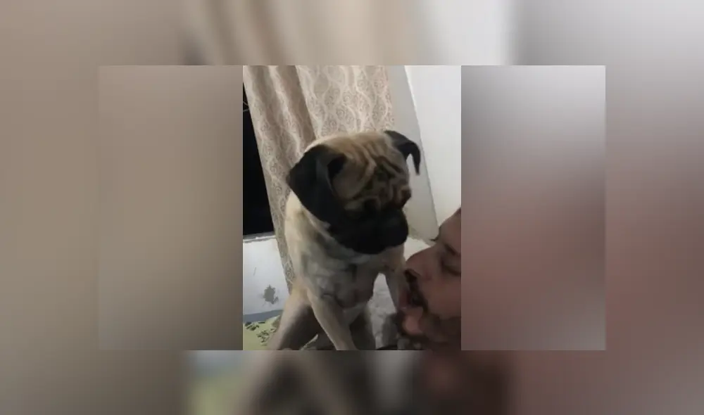 Desliza hacia la izquierda para ver las imágenes del viral de Facebook. Foto: Captura. Desliza hacia la izquierda para ver las imágenes del viral de Facebook. Foto: Captura.