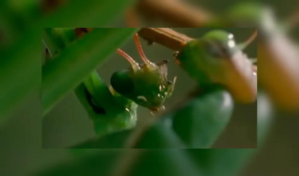 Desliza para ver detalles de este escalofriante viral de YouTube. Foto: Captura.