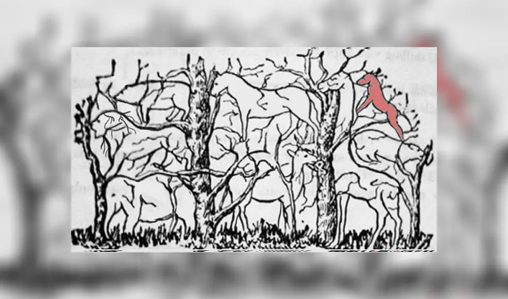 Desliza las imágenes para ver todas las respuestas de este complejo reto visual que intenta determinar el tipo de personalidad que tienes'. Foto: Facebook Desliza las imágenes para ver todas las respuestas de este complejo reto visual que intenta determinar el tipo de personalidad que tienes'. Foto: Facebook