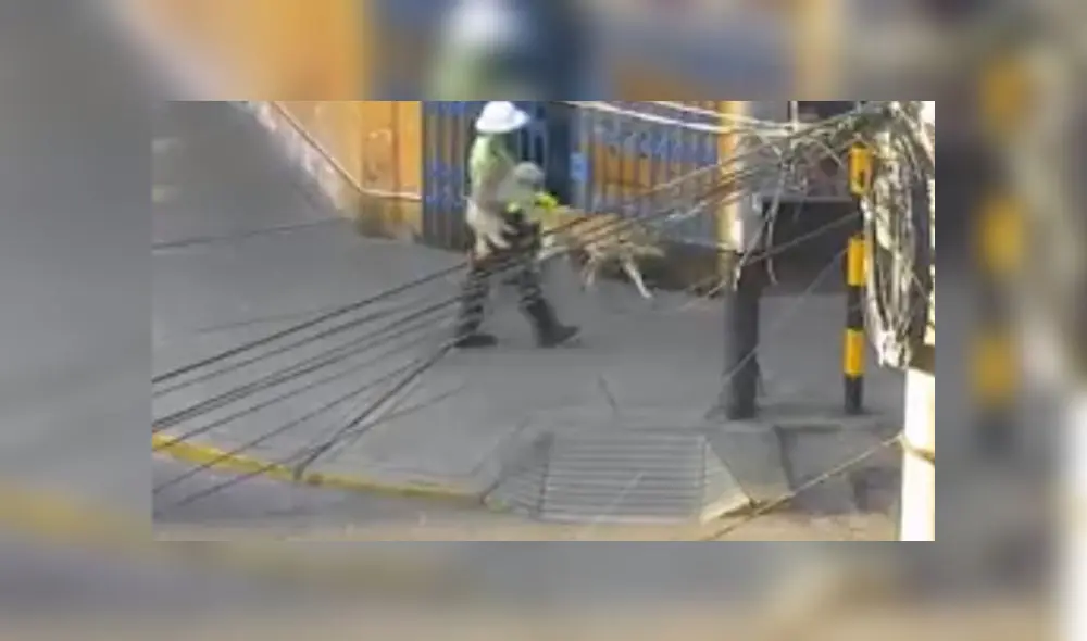 PNP-Perritos PNP-Perritos