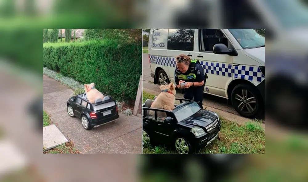 Desliza a la izquierda para ver más imágenes sobre esta peculiar multa. (Foto: Facebook)