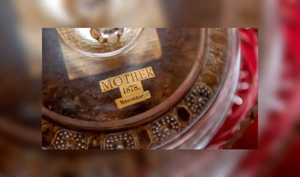 Mujer conserva un pastel navideño preparado hace 141 años por su tatarabuela [FOTOS]