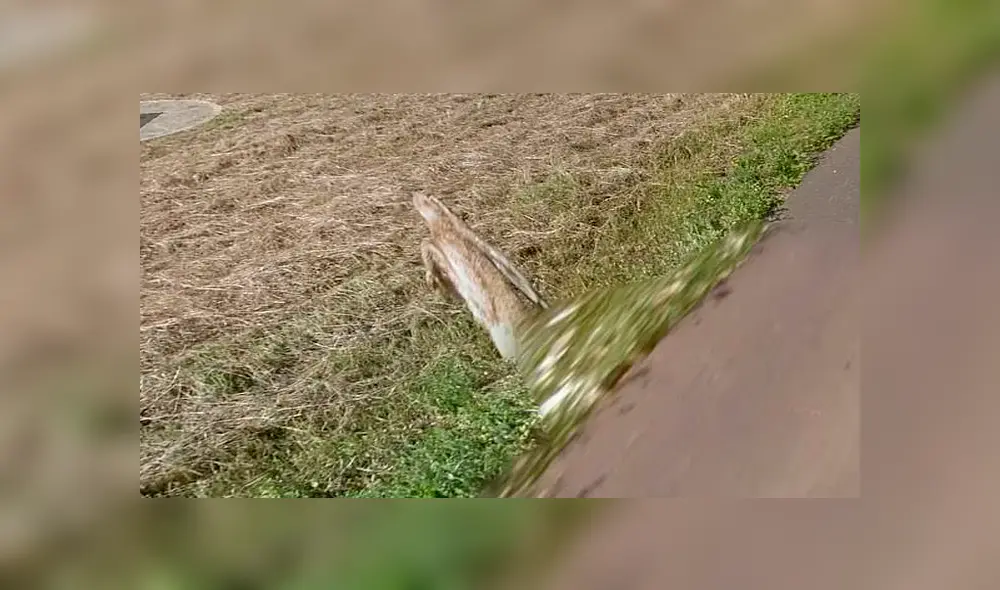 Desliza para ver el nuevo hallazgo de Google Maps. Foto: Captura. Desliza para ver el nuevo hallazgo de Google Maps. Foto: Captura.