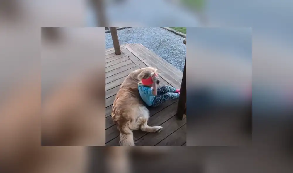Desliza las imágenes para observar la sentimental escena protagonizada por una niña junto a su perro. Desliza las imágenes para observar la sentimental escena protagonizada por una niña junto a su perro.