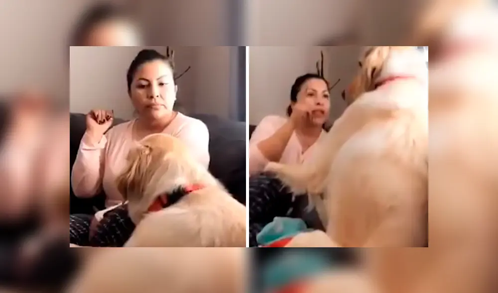 La mujer protagonizó una divertida ‘pelea’ con su perro, luego de que este le respondiera de una peculiar forma cuando lo estaba regañando. La escena se ha hecho viral en Facebook La mujer protagonizó una divertida ‘pelea’ con su perro, luego de que este le respondiera de una peculiar forma cuando lo estaba regañando. La escena se ha hecho viral en Facebook
