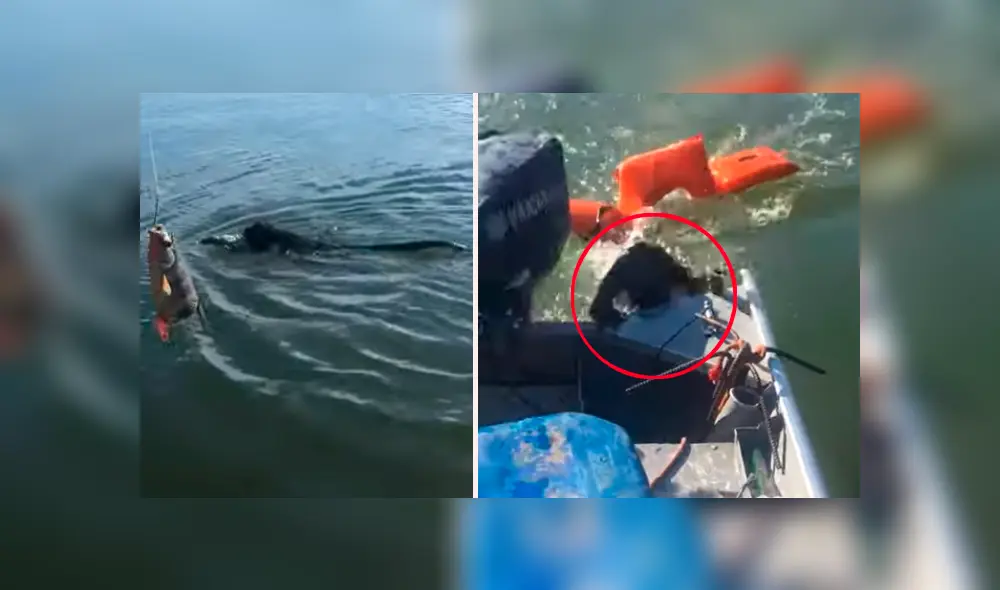 Hombre encuentra extraño ser ahogado en lago, arroja salvavidas y pasa lo inesperado [VIDEO]