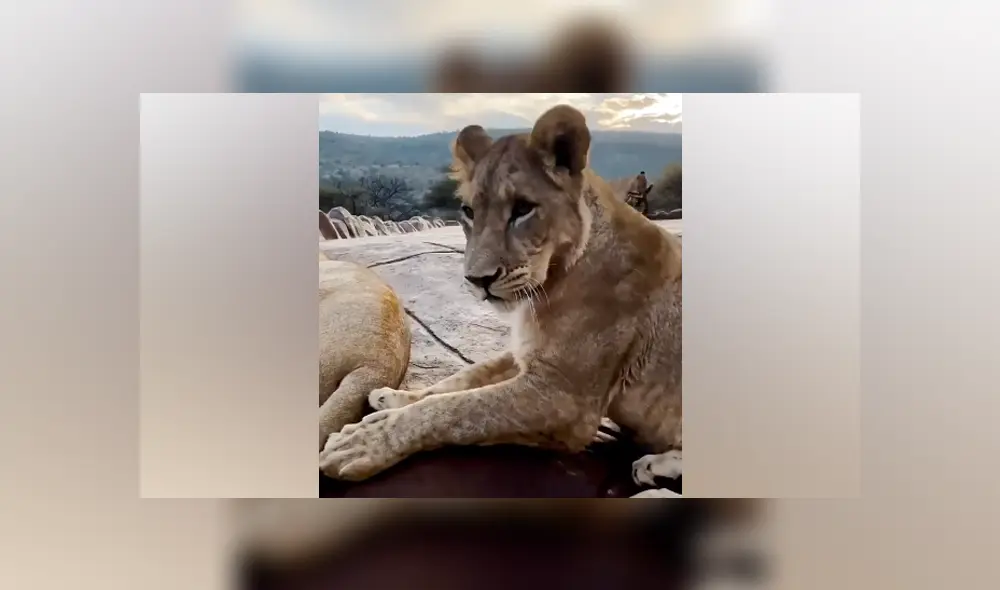 Desliza hacia la izquierda para ver las imágenes del viral de Facebook. Foto: Captura. Desliza hacia la izquierda para ver las imágenes del viral de Facebook. Foto: Captura.