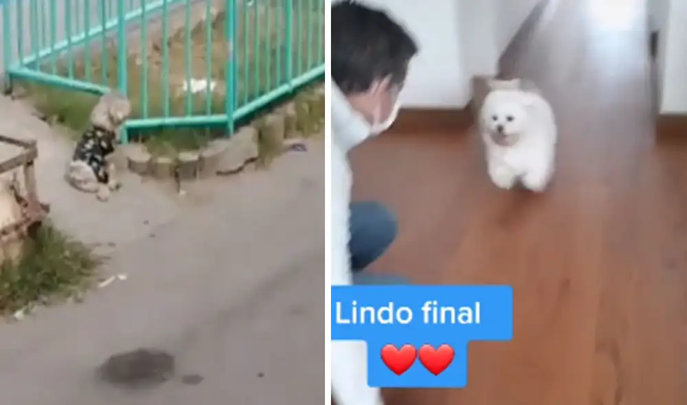 Desliza hacia la izquierda para conocer más detalles de esta conmovedora historia. Foto: captura de TikTok Desliza hacia la izquierda para conocer más detalles de esta conmovedora historia. Foto: captura de TikTok