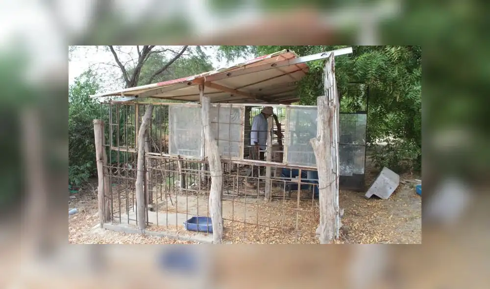 piura secuestro abuso policial