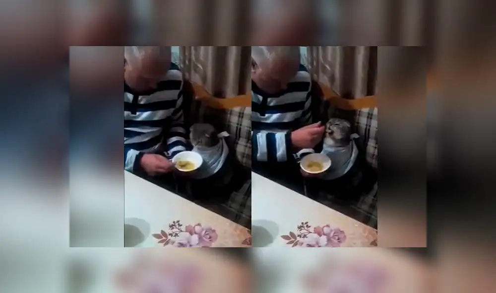 Desliza las imágenes para ver la increíble escena que protagonizó un padre y su gato. Foto: Captgura/Facebook Desliza las imágenes para ver la increíble escena que protagonizó un padre y su gato. Foto: Captgura/Facebook