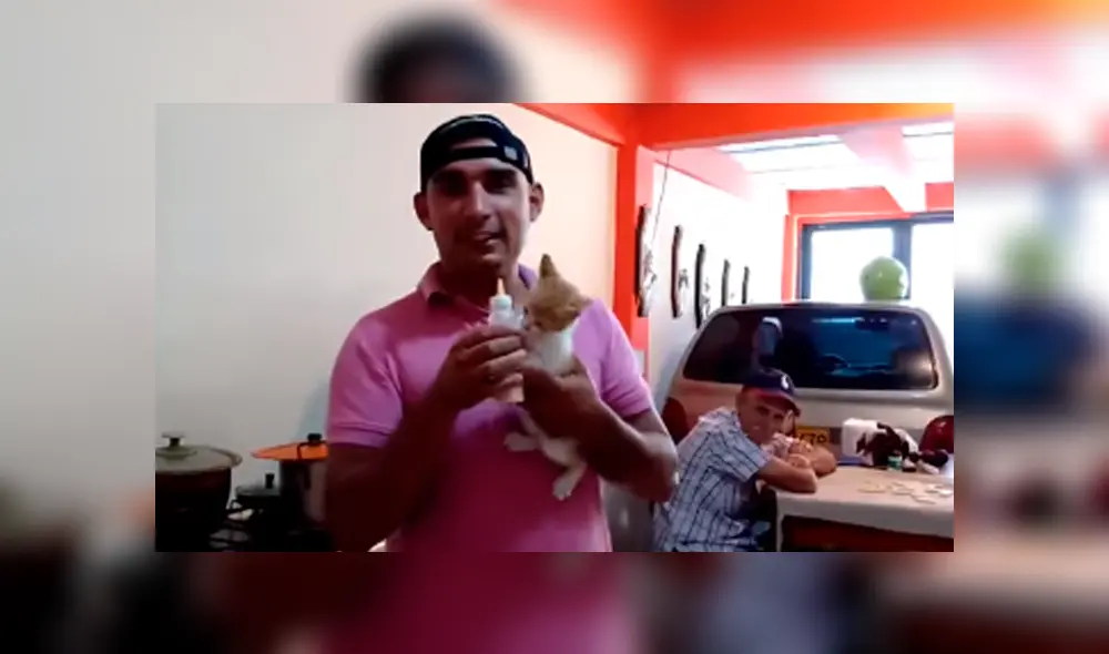 Desliza las imágenes hacia la izquierda para apreciar los cuidados que brindó un joven a su gato recién nacido. Desliza las imágenes hacia la izquierda para apreciar los cuidados que brindó un joven a su gato recién nacido.