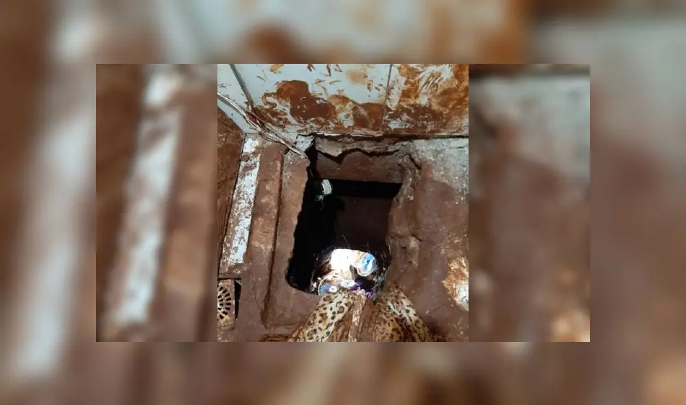Boca del túnel por donde fugaron los 92 presos en Paraguay. Boca del túnel por donde fugaron los 92 presos en Paraguay.