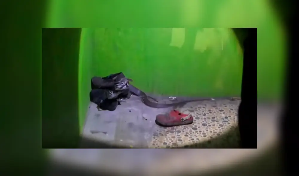 YouTube viral: joven limpia sus zapatos viejos y descubre peligrosa criatura en su interior [VIDEO]