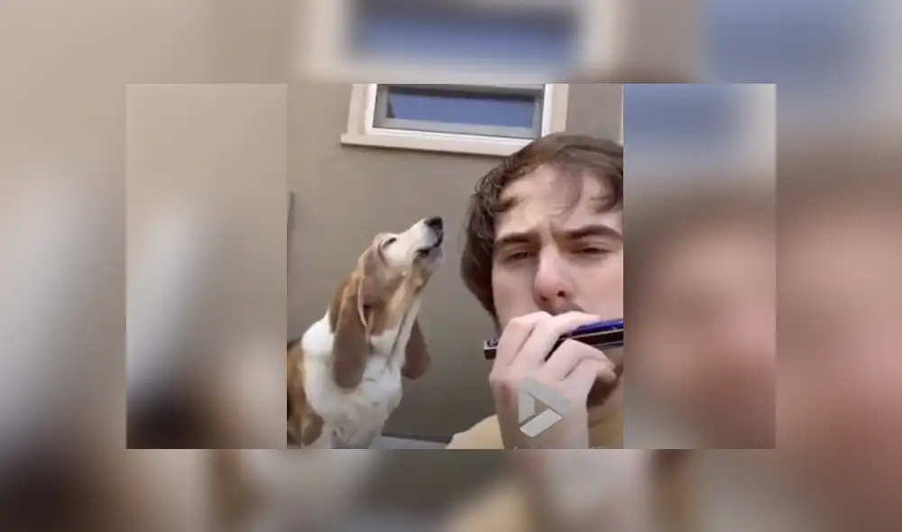 Desliza hacia la izquierda para ver las imágenes del viral de YouTube. Foto: ViralVideoUK. Desliza hacia la izquierda para ver las imágenes del viral de YouTube. Foto: ViralVideoUK.