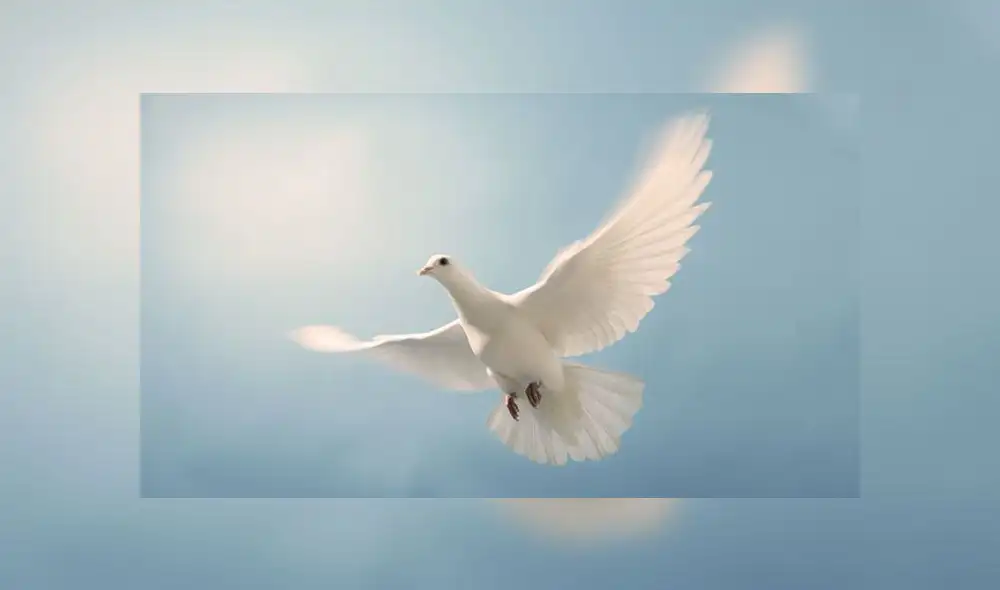 Polémica por colegio religioso que justificó desmayo de alumnos por “obra del espíritu santo”