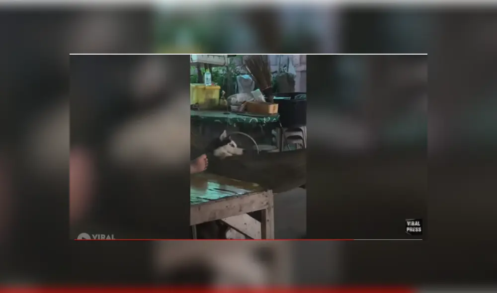 Desliza hacia la izquierda para ver las imágenes del viral de Facebook. Foto: Captura Desliza hacia la izquierda para ver las imágenes del viral de Facebook. Foto: Captura