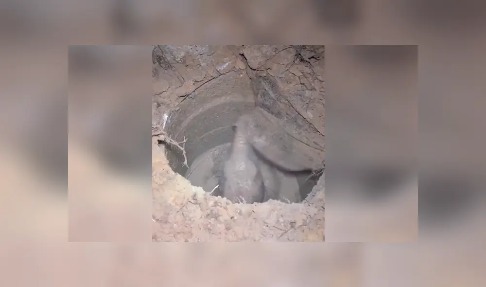 Un video viral muestra cómo un grupo de pobladores hacen hasta lo imposible para salvar la vida de un elefante bebé. Un video viral muestra cómo un grupo de pobladores hacen hasta lo imposible para salvar la vida de un elefante bebé.