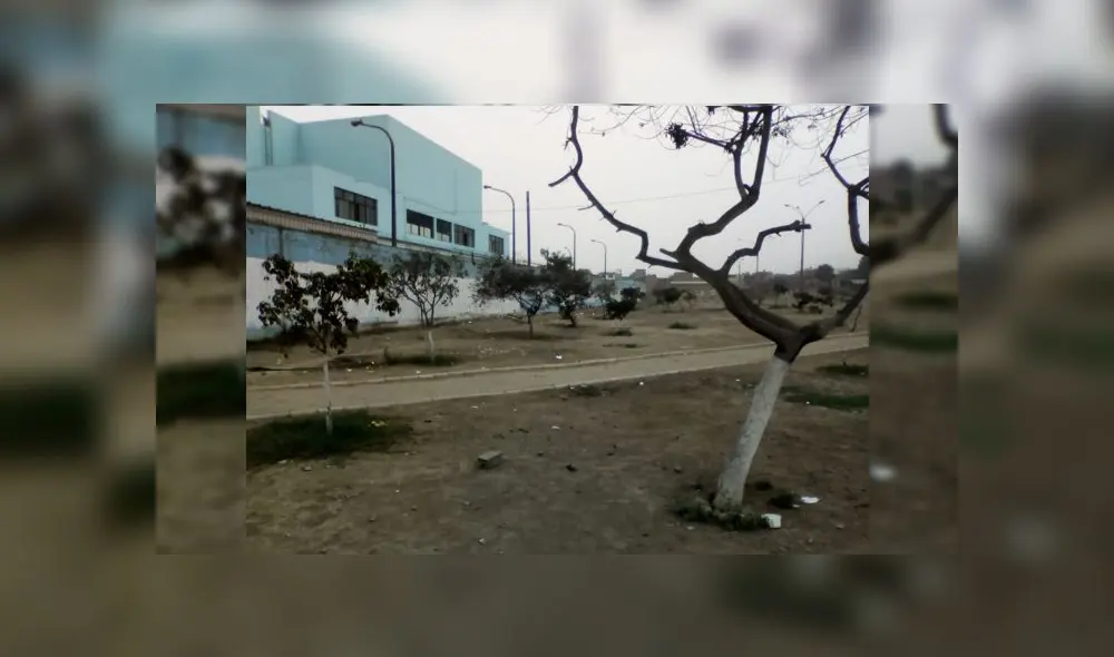 Vecinos solicitan trabajos de remodelación en el parque en mención.