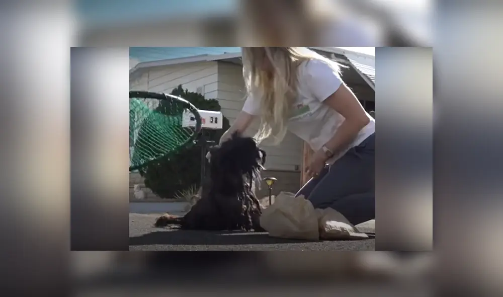 Desliza hacia la izquierda para ver las imágenes del viral de YouTube. Foto: Captura. Desliza hacia la izquierda para ver las imágenes del viral de YouTube. Foto: Captura.