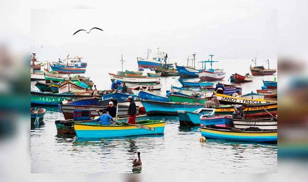 Gremio de pescadores incluye diferentes actividades. (Foto: Andina)