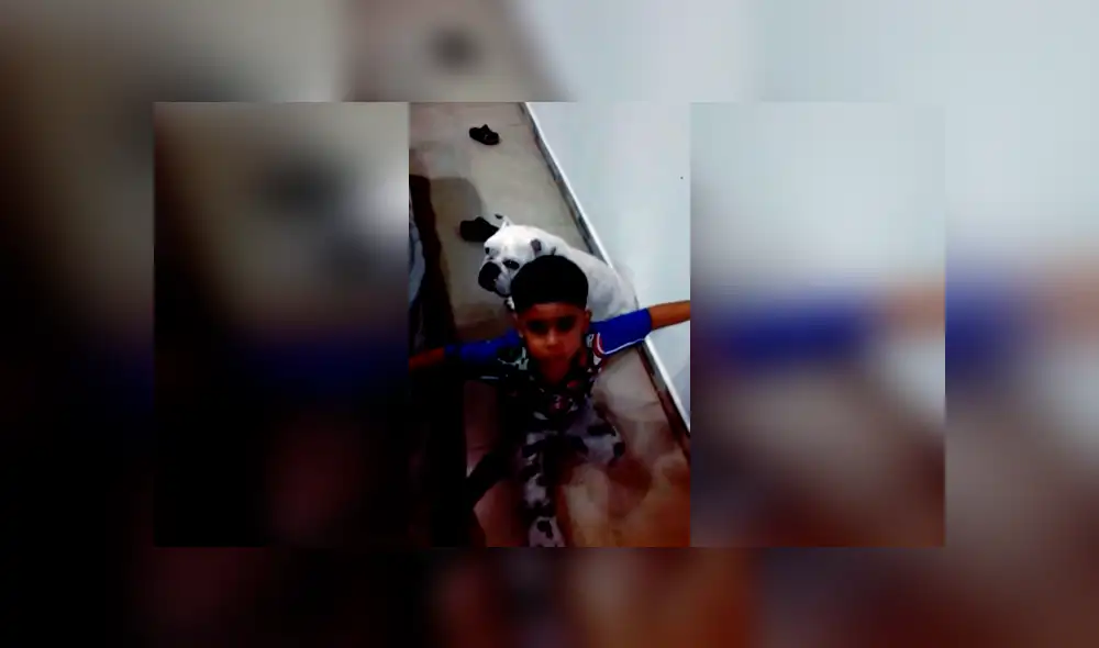 Desliza las imágenes para apreciar el comportamiento de un niño para que su madre castigue a su perro. Desliza las imágenes para apreciar el comportamiento de un niño para que su madre castigue a su perro.