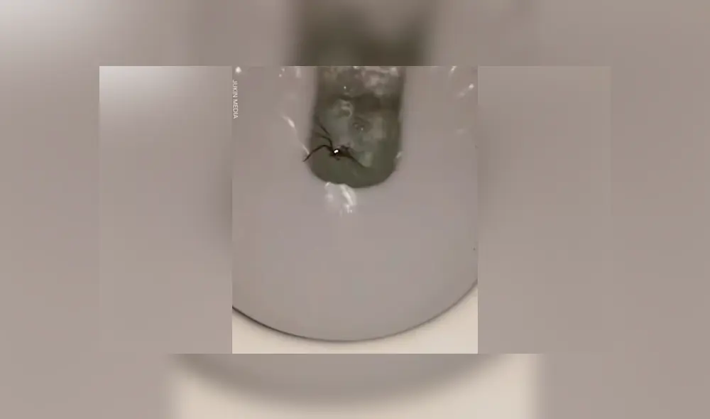 Desliza para ver los momentos más aterradores del video que se volvió viral en YouTube.