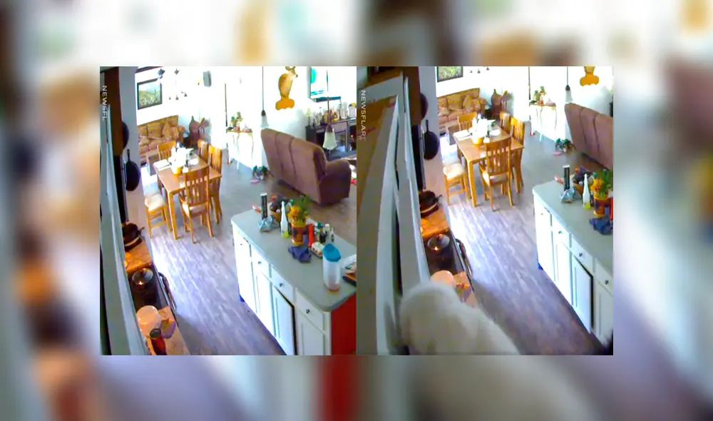 Un video viral muestra el momento en el que un hombre descubre quién movía las cosas dentro de su hogar mientras estaba ausente.