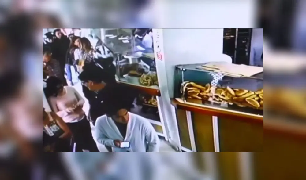 Lince robo panadería Lince robo panadería