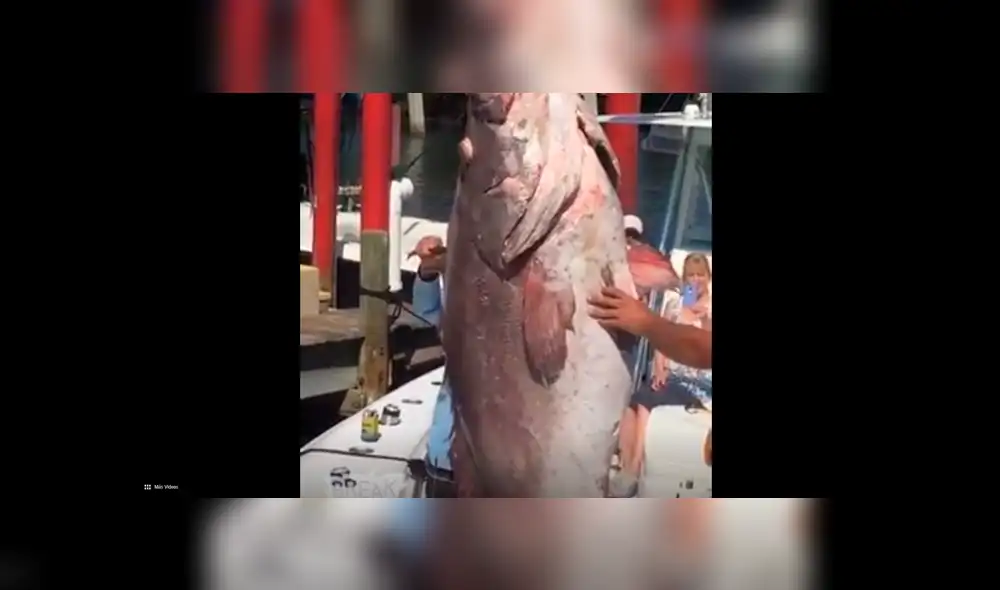 YouTube viral: pescadores quedan aterrados al ver misteriosa criatura que salió del océano [VIDEO]
