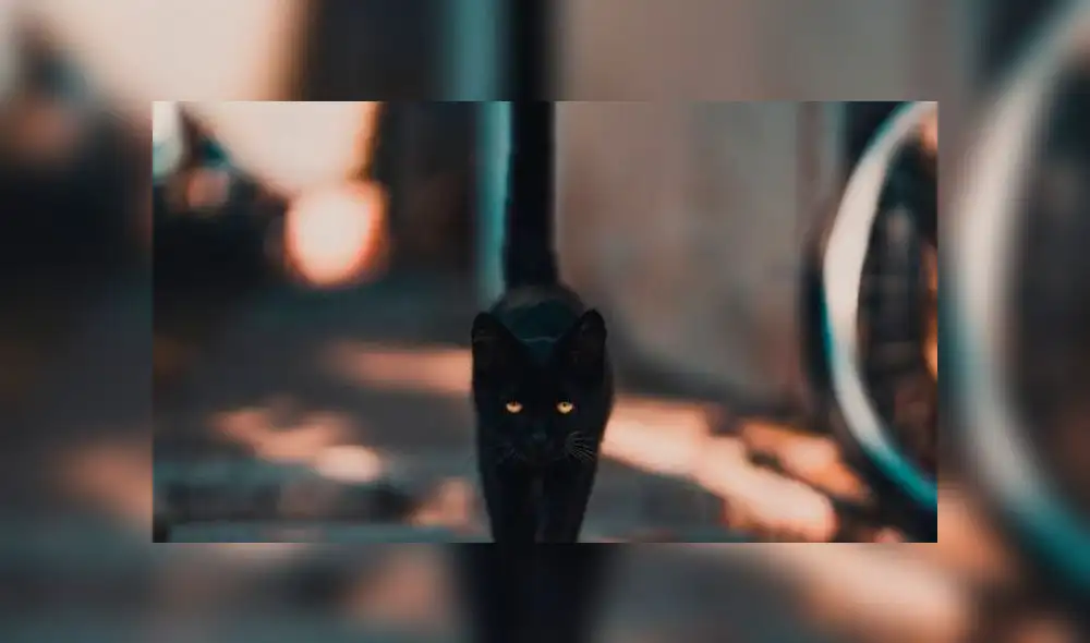 El viernes 13 es considerado un día de mal augurio en distintas partes del mundo. Foto: Pexels El viernes 13 es considerado un día de mal augurio en distintas partes del mundo. Foto: Pexels