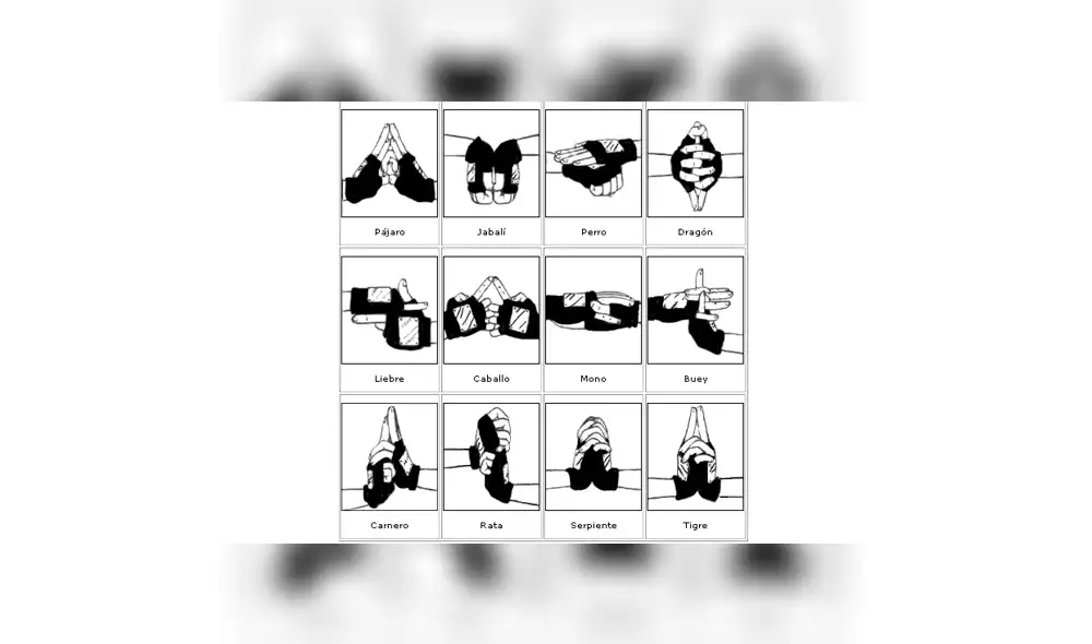 En Facebook se han vuelto virales una serie de memes para enseñar el correcto lavado de manos.