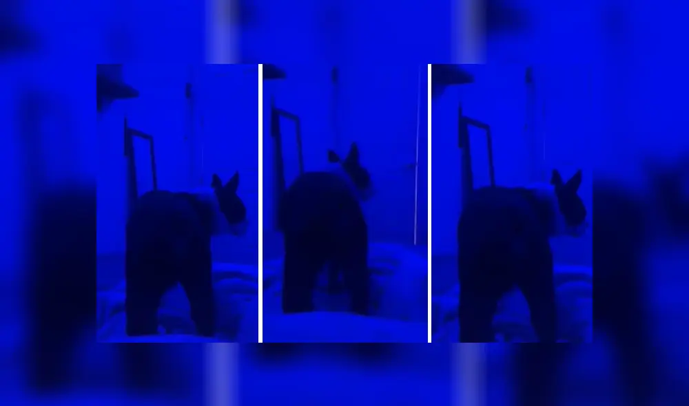 Desliza las imágenes para ver más detalles de esta tierna escena que ya es viral en Facebook.