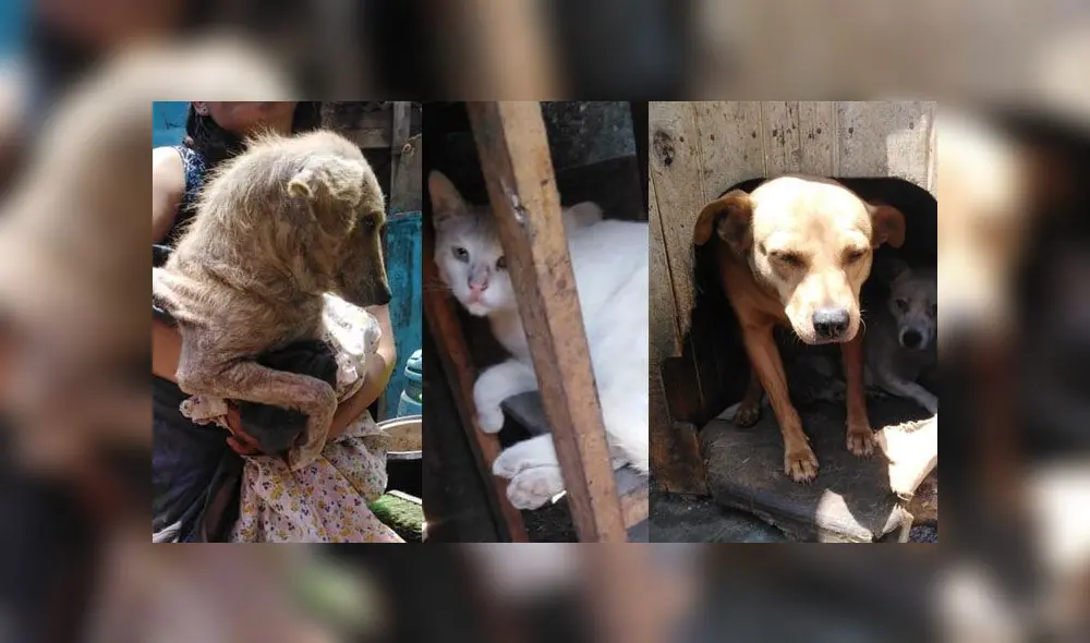 Foto: Facebook Foto: Facebook