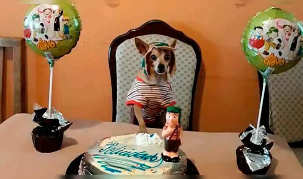 Facebook: cachorro celebra su cumpleaños disfrazado del 'Chavo del 8' y provoca diversas reacciones [FOTOS]