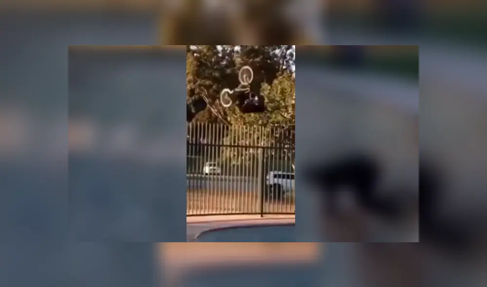 Facebook viral: joven intenta realizar complicada maniobra en bicicleta y sufre terrible accidente con final inesperado