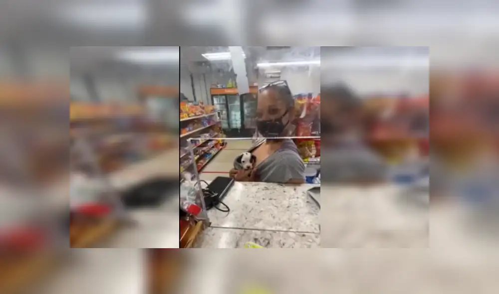 Desliza las imágenes para ver más detalles de esta conmovedora escena que es viral en YouTube.