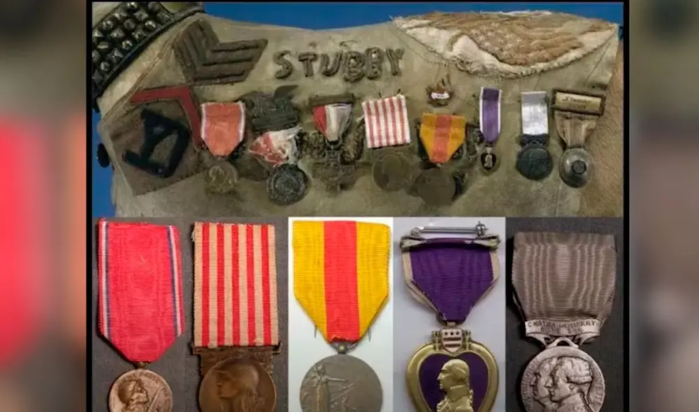 Stubby es el perro de guerra más condecorado en la historia. Foto: Captura/YouTube/Experto Animal Stubby es el perro de guerra más condecorado en la historia. Foto: Captura/YouTube/Experto Animal