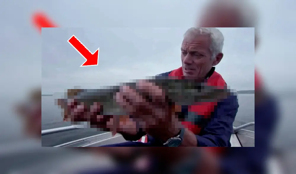 Un pescador profesional acudió a Chernobyl para inspeccionar un lago y encontró un desconcertante animal.