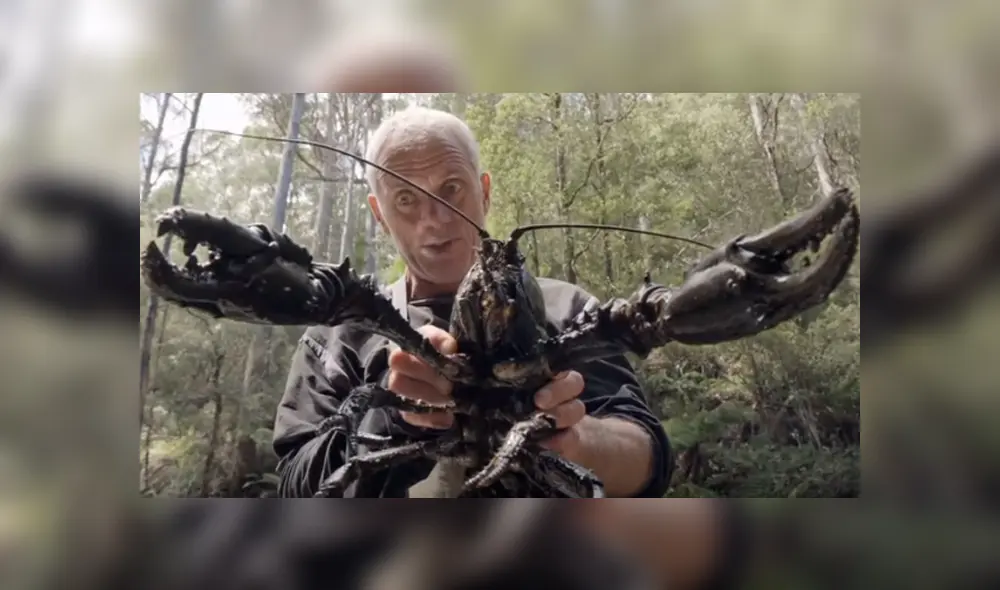 Desliza hacia la izquierda para ver a los animales que un pescador encontró y se volvió viral en YouTube.